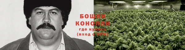 тгк Гусь-Хрустальный