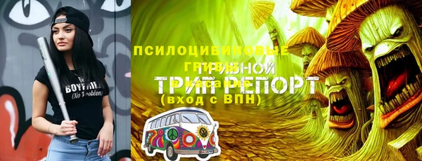 тгк Гусь-Хрустальный